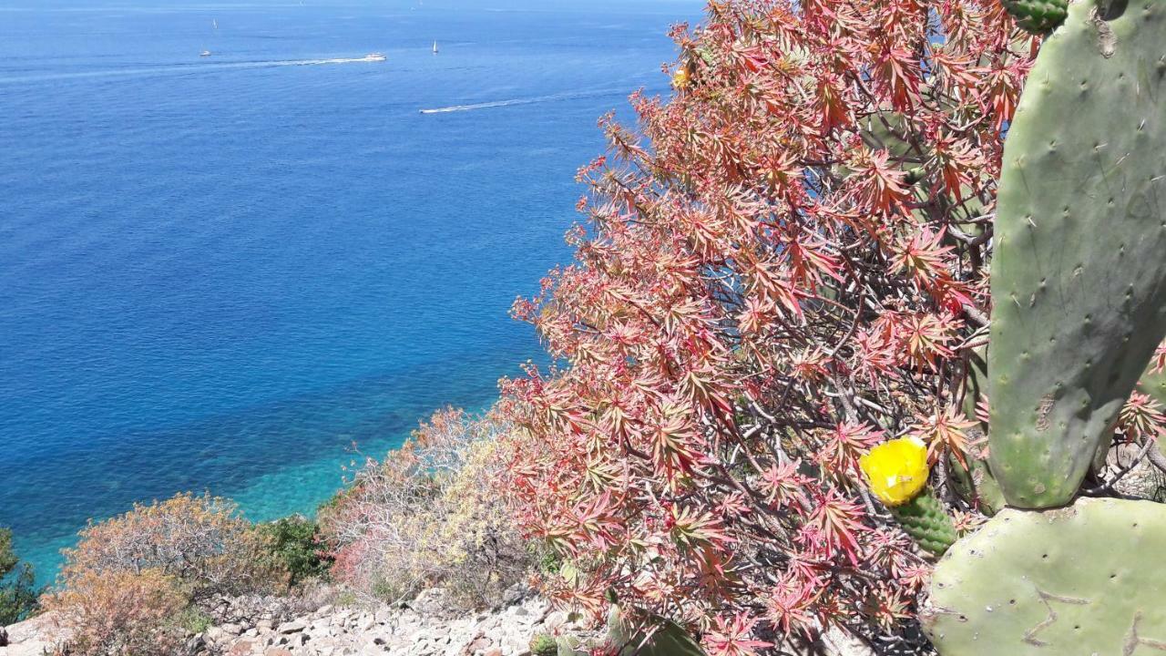 Aurora: Beach-5 Terre-Trekking-Excursions-Relax سان تيرينزو المظهر الخارجي الصورة
